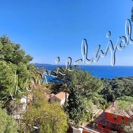 Hyeres, Magnifique Parc De La Presqu'ile Avec Piscine Et Face A Porquerolles ! Apartamento *