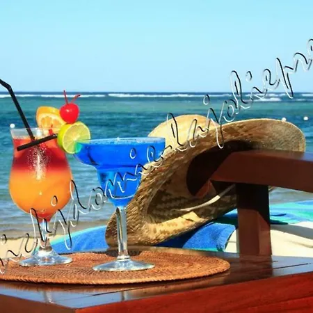 Hyeres, Magnifique Parc De La Presqu'ile Avec Piscine Et Face A Porquerolles ! * Hyères