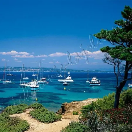 Magnifique Parc De La Presqu'ile Avec Piscine Et Face A Porquerolles ! * Hyeres