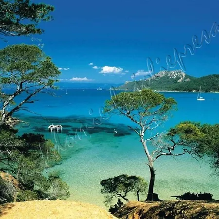 Lägenhet Magnifique Parc De La Presqu'ile Avec Piscine Et Face A Porquerolles ! Hyères