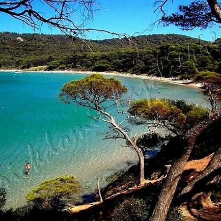 Magnifique Parc De La Presqu'ile Avec Piscine Et Face A Porquerolles !
