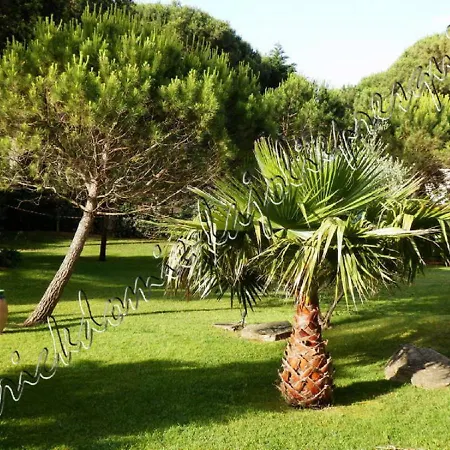 Hyeres, Magnifique Parc De La Presqu'ile Avec Piscine Et Face A Porquerolles ! * Hyères