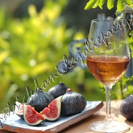 Apartamento Hyeres, Magnifique Parc De La Presqu'ile Avec Piscine Et Face A Porquerolles ! Hyères