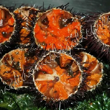 Hyeres, Magnifique Parc De La Presqu'ile Avec Piscine Et Face A Porquerolles ! Apartamento